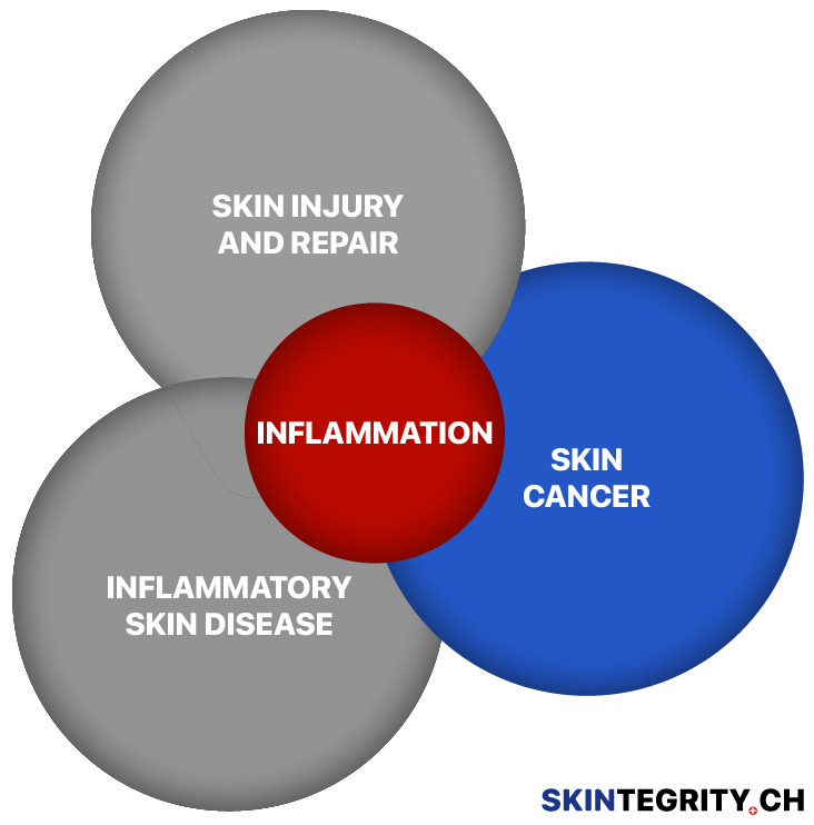 The three central branches of SKINTEGRITY.CH: Skin injury and repair, skin cancer, and inflammatory skin disease.